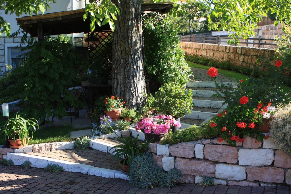Cortalta Mountain Lodge Фай дела Паганела Екстериор снимка