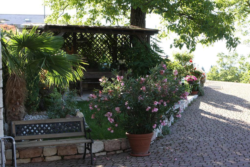 Cortalta Mountain Lodge Фай дела Паганела Екстериор снимка